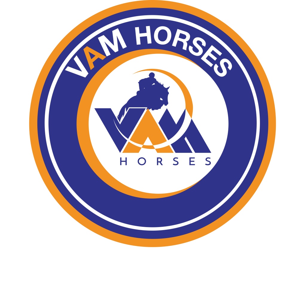 VAM Horses7.jpg