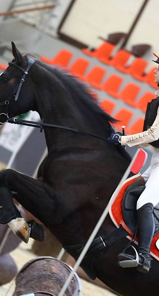 Определены первые победители и призеры 2026 года в троеборье!