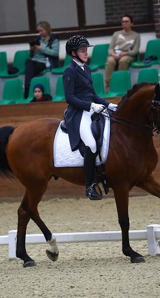 Выездка: 5 турниров в MAXIMA PARK