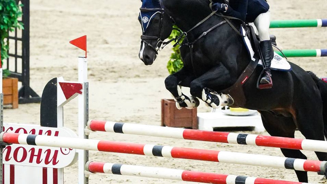 Второй день турнира по конкуру завершился в MAXIMA PARK!