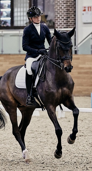 Второй этап командного MAXIMA MASTERS по выездке начался в MAXIMA PARK!