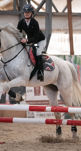 В КСК «Премьер»  прошёл заключительный отборочный этап MINI MASTERS