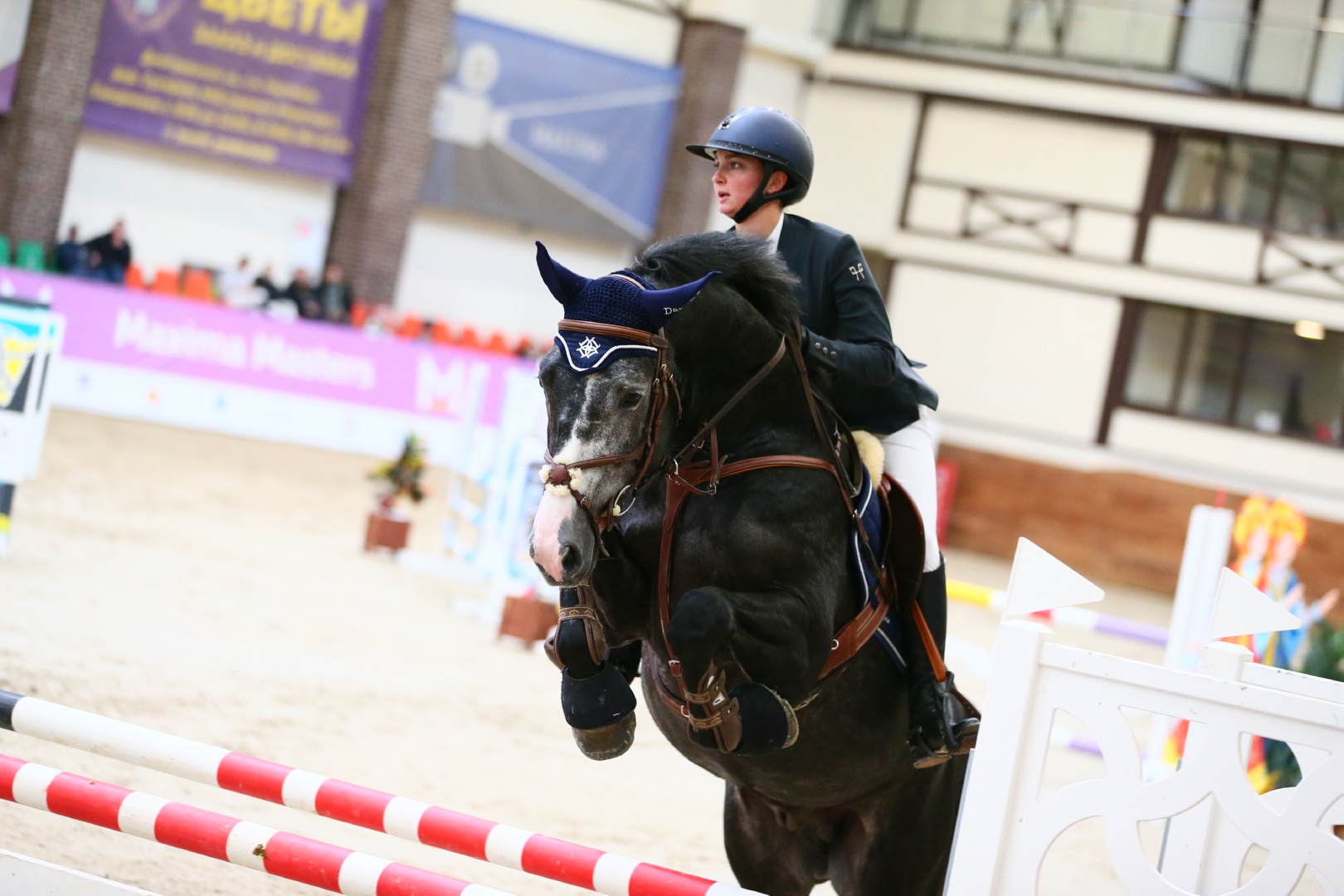 Первый чемпионат Евразии для молодых лошадей, организованный Евразийской ассоциацией, состоится в Подмосковье осенью