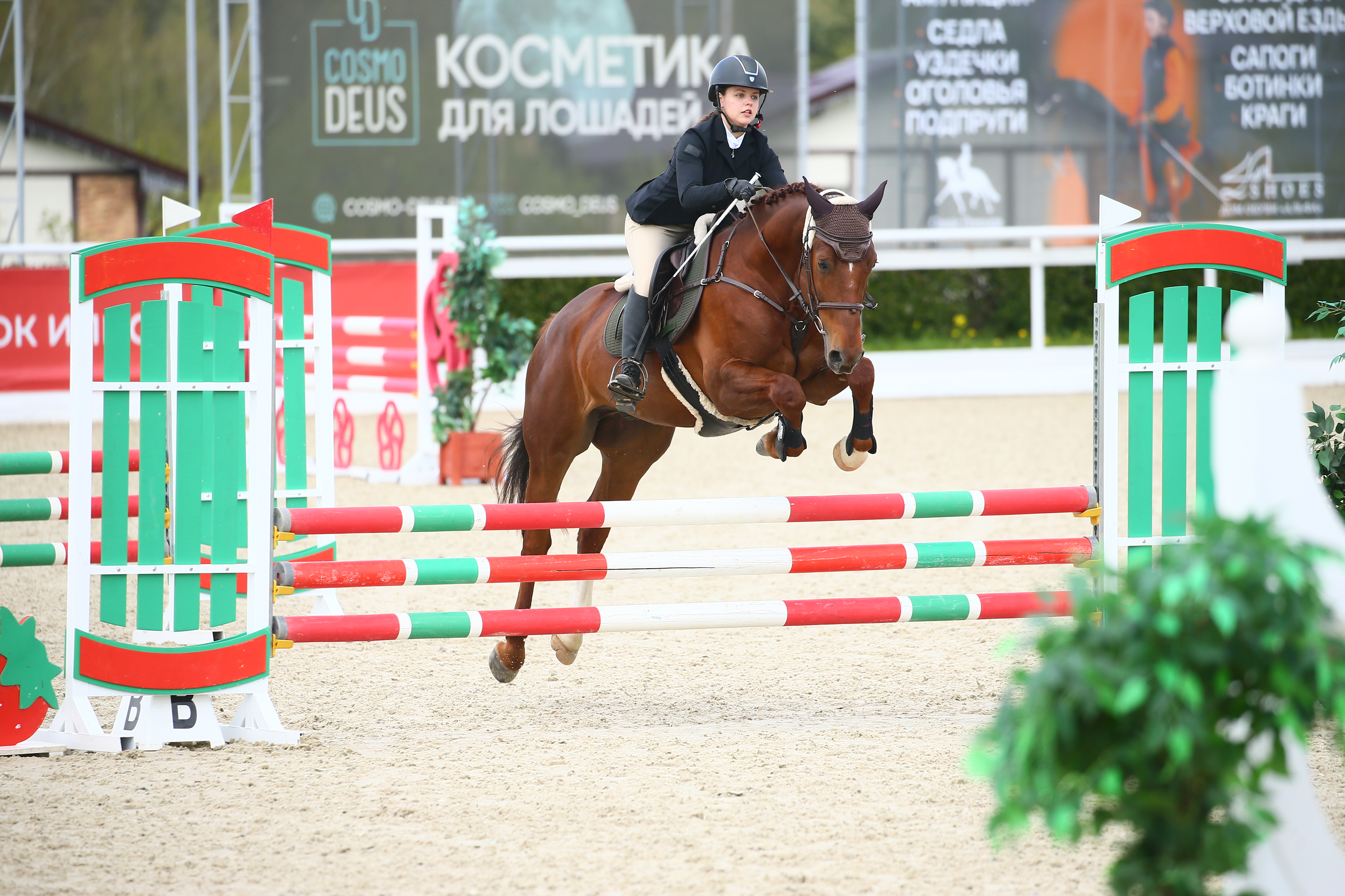Первые победы в новом сезоне MINI MASTERS