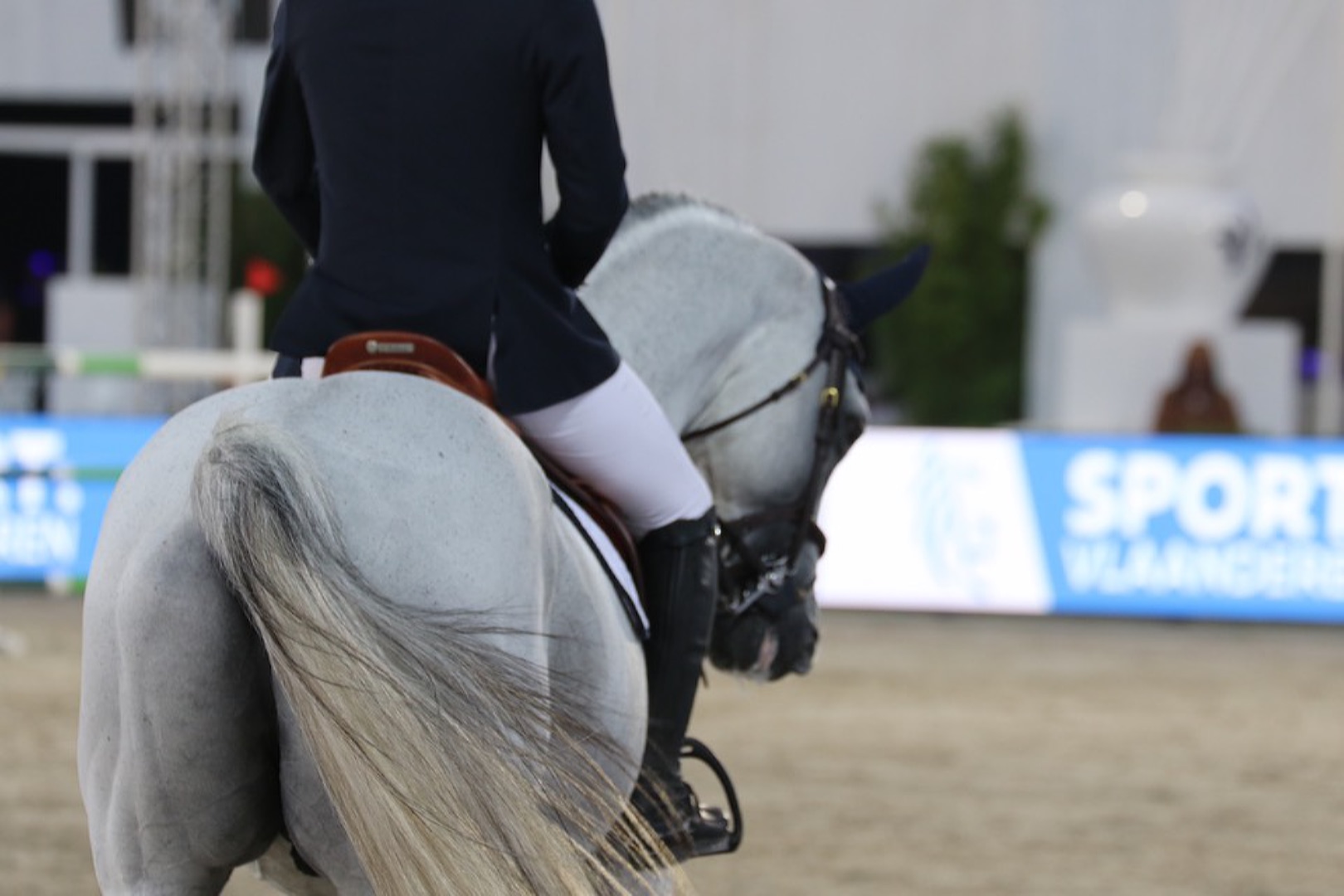 Horse Expert. Отмена соревнований в Европе из-за эпидемии Герпес Вируса Лошадей