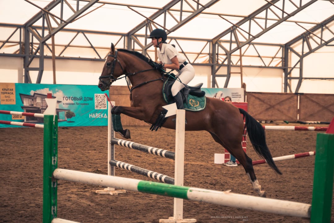 Этапы MINI MASTERS прошли в Орловской и Волгоградской областях