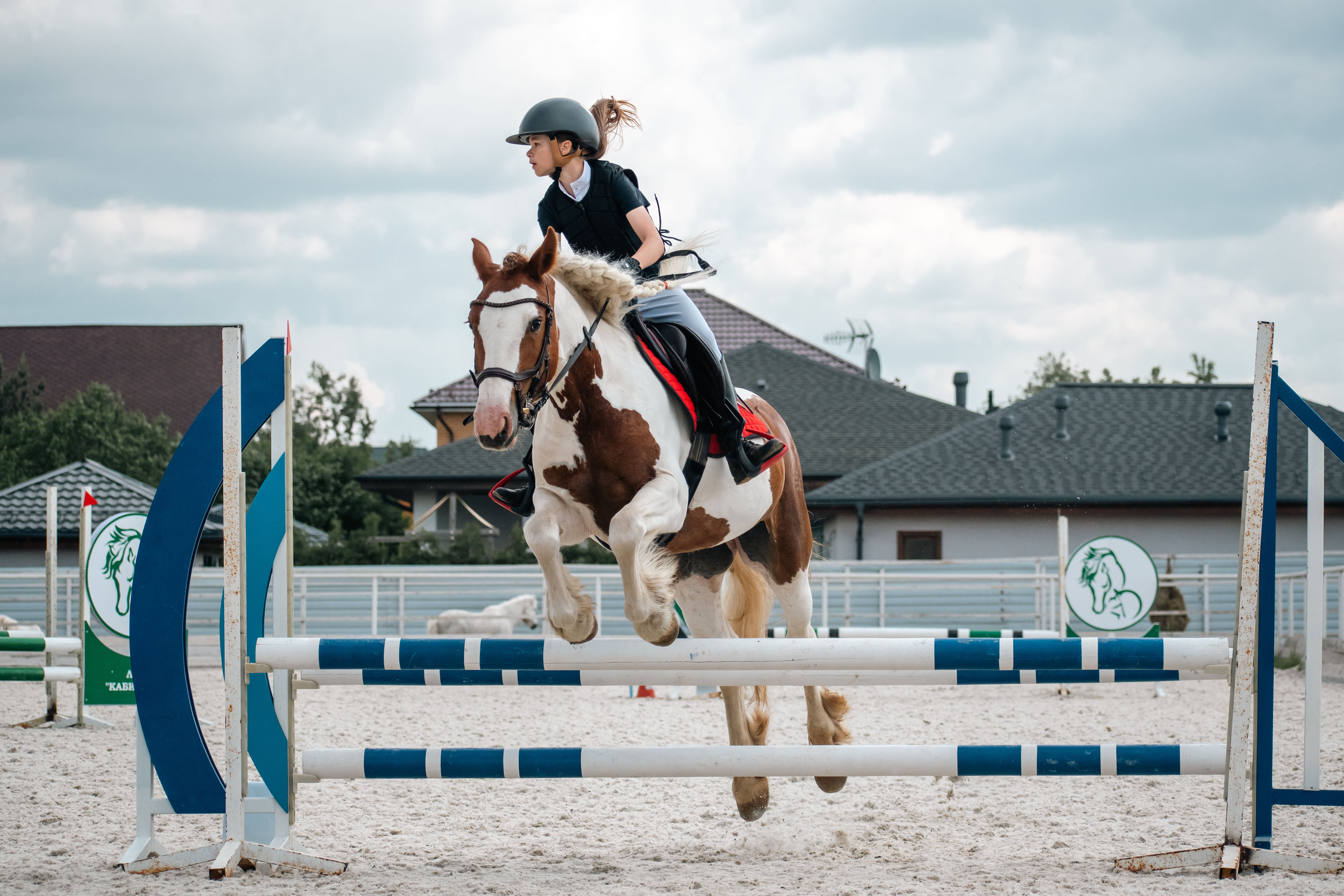 В ЛПХ «Кабицыно» прошел II этап Mini Masters