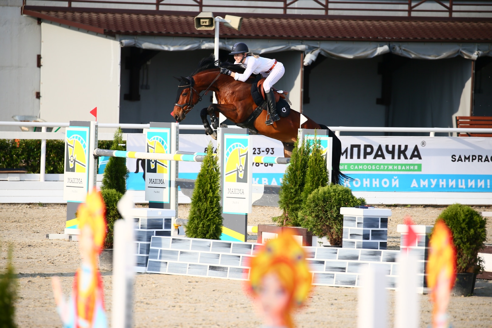 Horse Expert: дополнение к квалификации на Юношеские Олимпийские игры