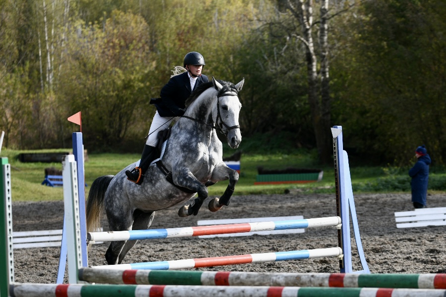 Этапы Кубка MAXIMA PARK прошли в Ярославской и Вологодской областях