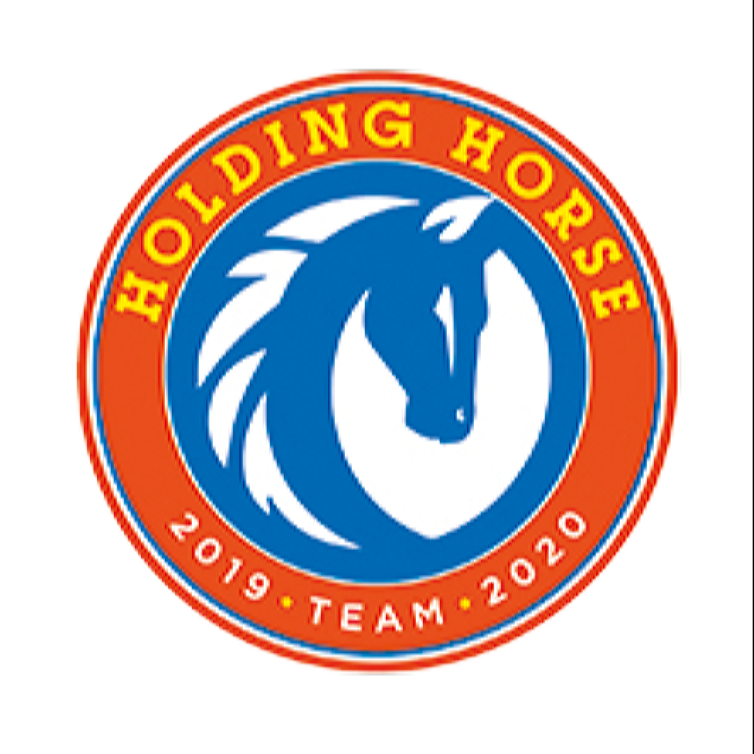 Holding Horse Team