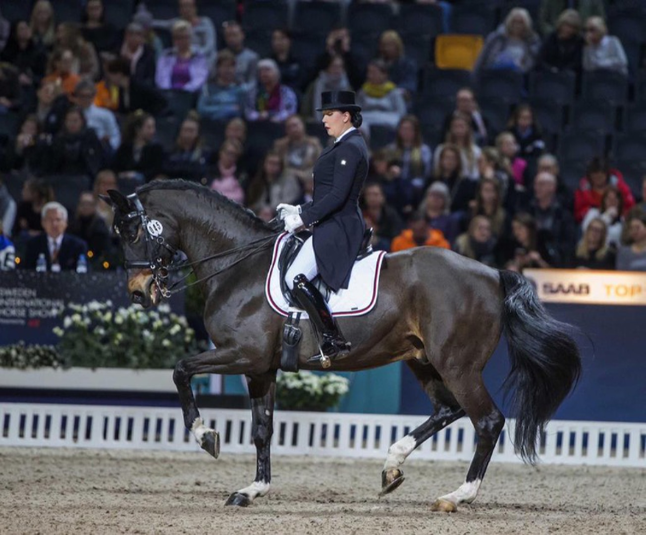 Horse Expert. Инесса Меркулова - об инциденте на турнире в Бельгии