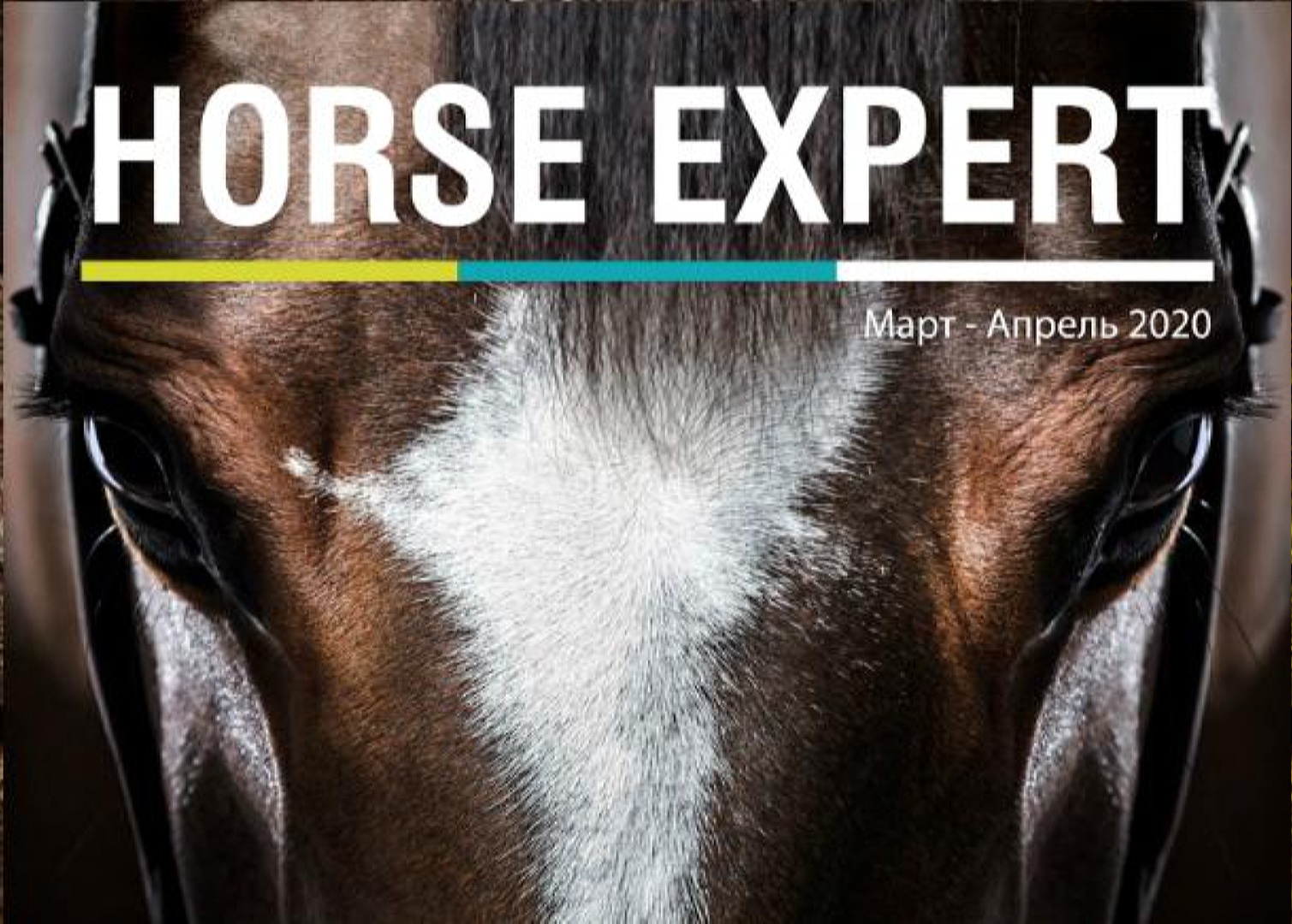  Новый конный журнал HORSE EXPERT: уже в открытом доступе!