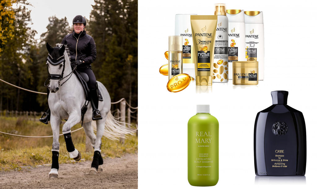 Максима эквиспорт