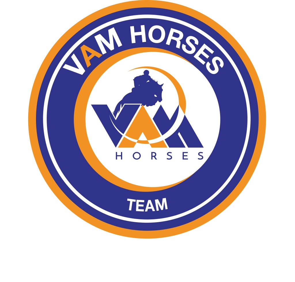 VAM Horses6.jpg