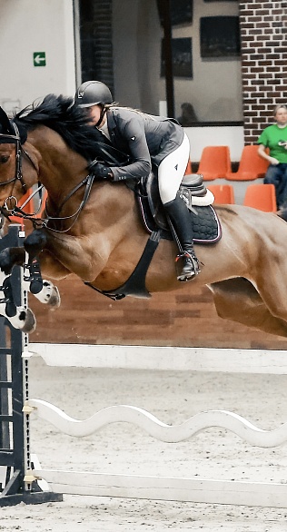 Третий день турнира по конкуру завершился в MAXIMA PARK!