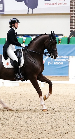 Кубок Кремля по выездке стартовал в MAXIMA PARK!