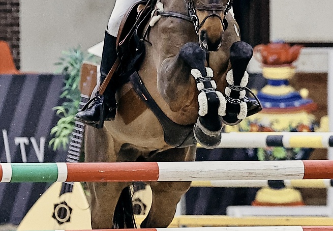 Турнир по конкуру вновь стартовал в MAXIMA PARK! 