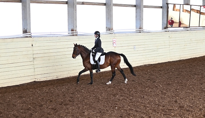 Итоги Этапа Кубка Победы по выездке в Вологодской области