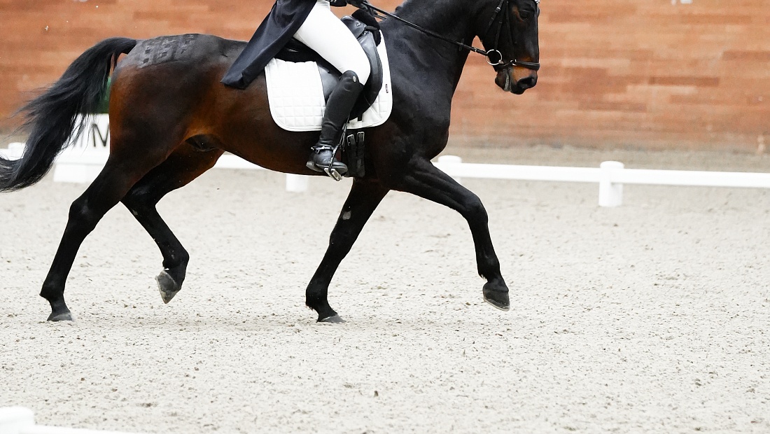 Кубок MAXIMA PARK по троеборью стартовал в Подмосковье! 