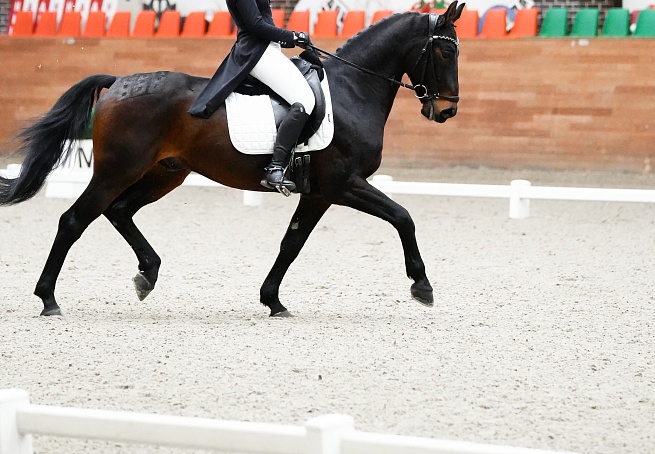 Кубок MAXIMA PARK по троеборью стартовал в Подмосковье! 