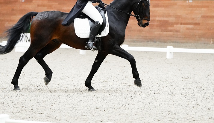 Кубок MAXIMA PARK по троеборью стартовал в Подмосковье! 