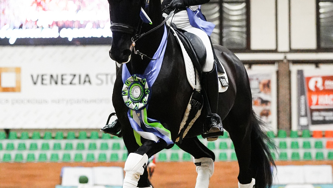 Выездковый турнир стартовал в MAXIMA PARK! 