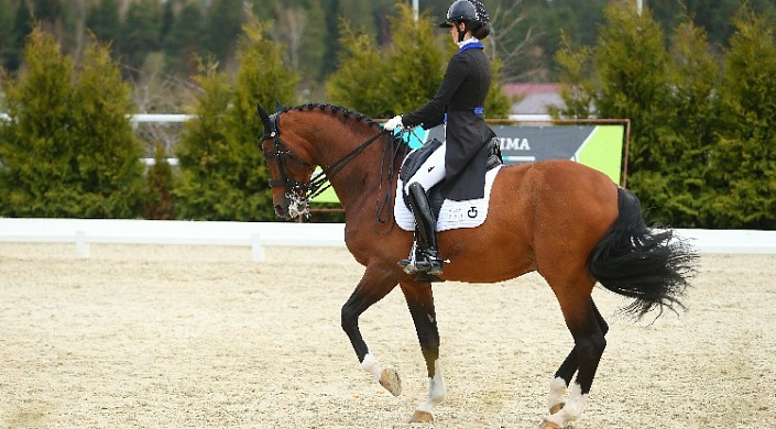 Максима эквиспорт. Фотосессия на выездковой лошади.