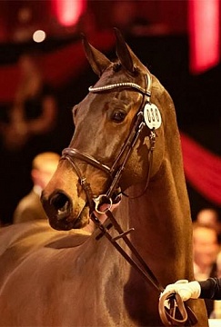 Деньги не скачут