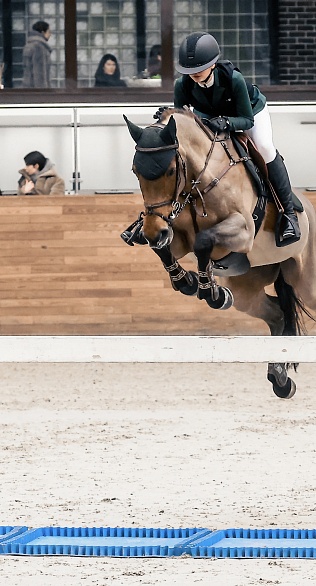 Третий день турнира по конкуру подошел к концу в MAXIMA PARK! 