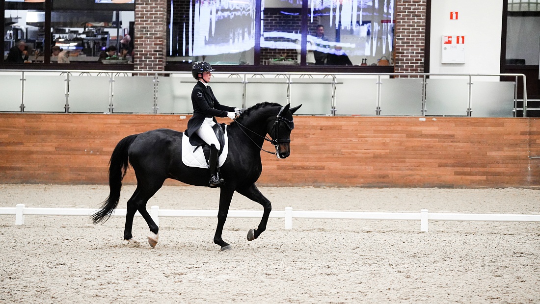 В MAXIMA PARK стартовал 2 сезон командного MAXIMA MASTERS по выездке! 