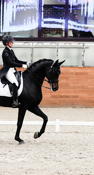 В MAXIMA PARK стартовал 2 сезон командного MAXIMA MASTERS по выездке! 