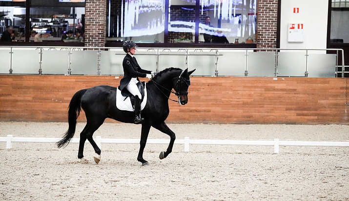 В MAXIMA PARK стартовал 2 сезон командного MAXIMA MASTERS по выездке! 