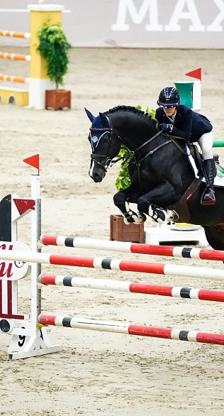 Второй день турнира по конкуру завершился в MAXIMA PARK!