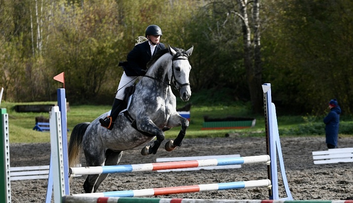 Этапы Кубка MAXIMA PARK прошли в Ярославской и Вологодской областях