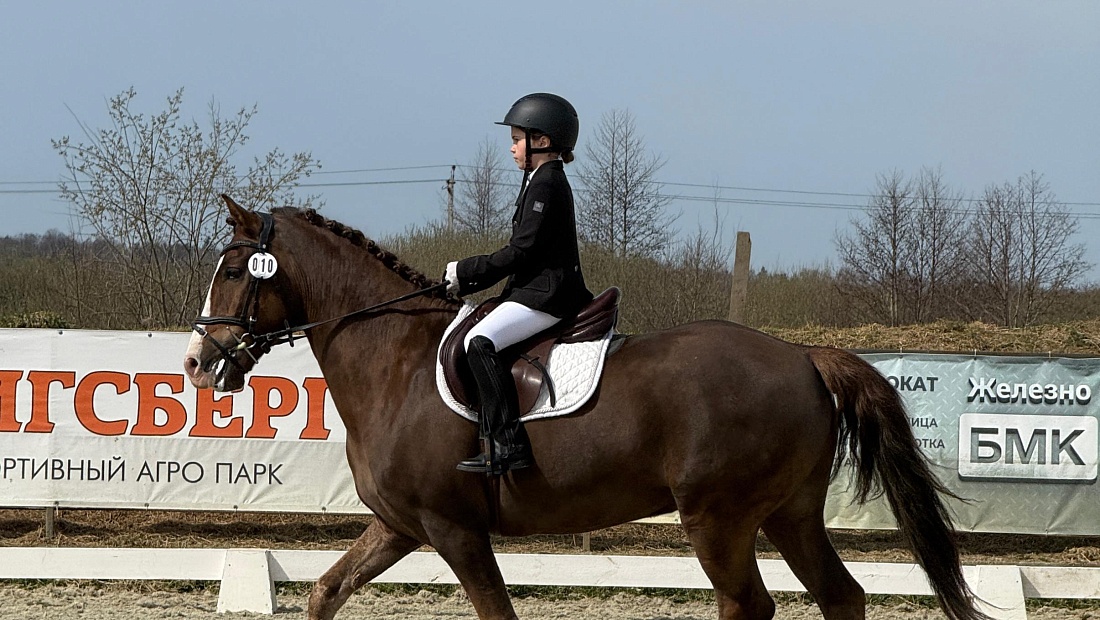 Калининградская и Волгоградская области приняли этапы Кубка Победы 