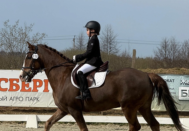 Калининградская и Волгоградская области приняли этапы Кубка Победы 