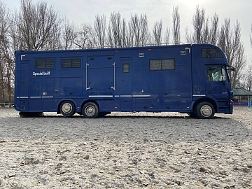 Первый специализированный коневоз в Кыргызстане – логистика, меняющая сферу