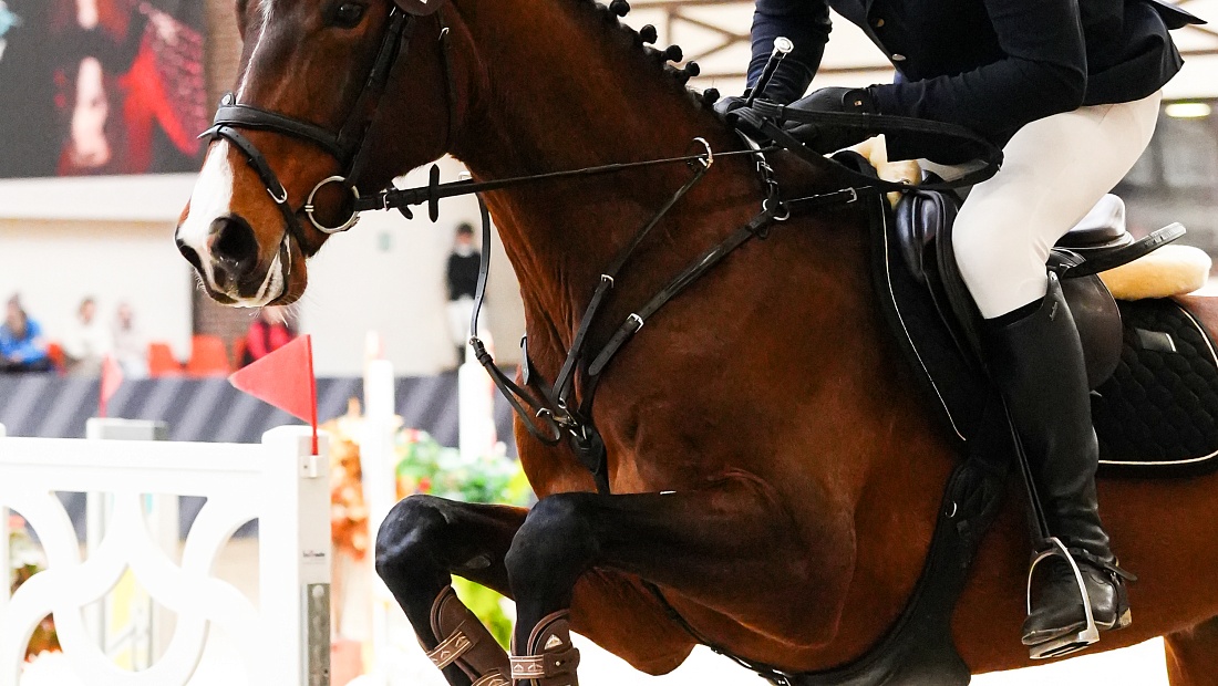 Подошел к концу второй день турнира по троеборью!