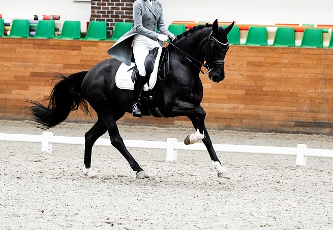 Второй день турнира по выездке завершился в MAXIMA PARK! 
