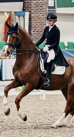 Завершился второй день Кубка Кремля по выездке!
