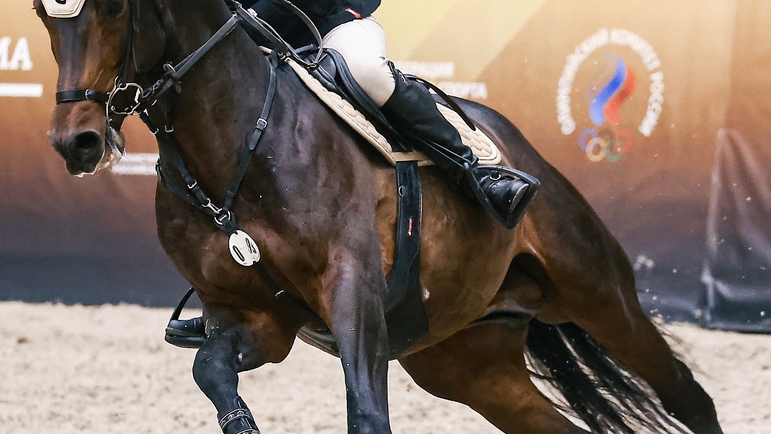 Кубок ОАЭ стартовал в MAXIMA PARK!