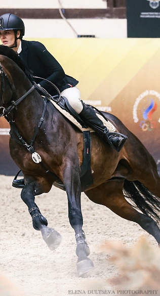 Кубок ОАЭ стартовал в MAXIMA PARK!