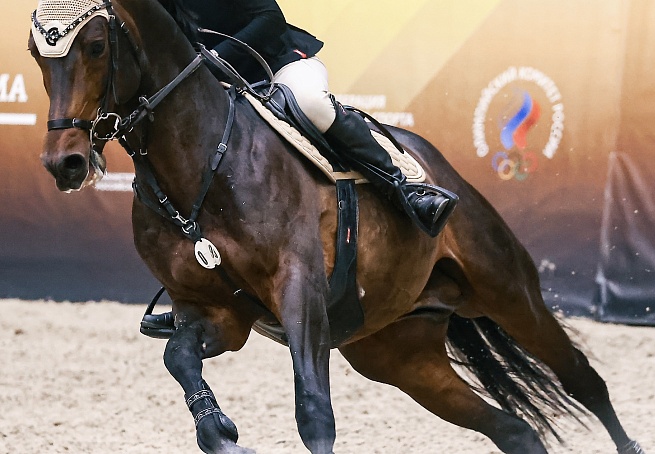 Кубок ОАЭ стартовал в MAXIMA PARK!