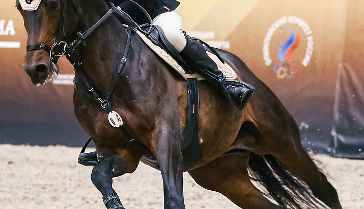 Кубок ОАЭ стартовал в MAXIMA PARK!