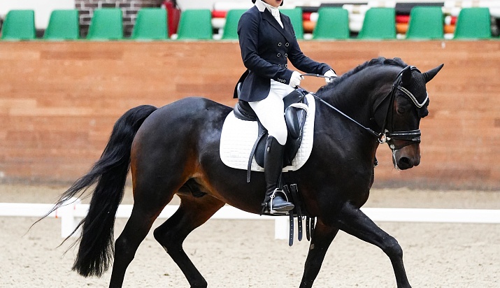 Выездка приняла эстафету зимних турниров! 