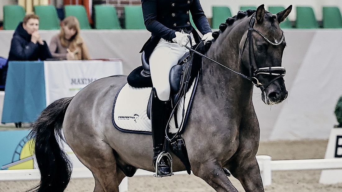 Турнир по выездке продолжается!