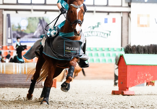 В MAXIMA PARK  завершился турнир по троеборью! 