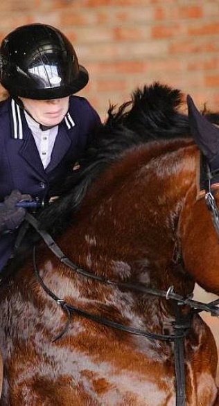 Этап серии Mini Masters прошел в Саратовской области 