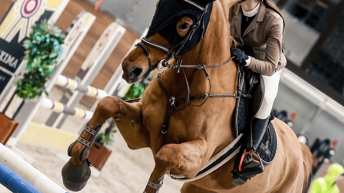 Второй день конкурного турнира завершился в MAXIMA PARK! 