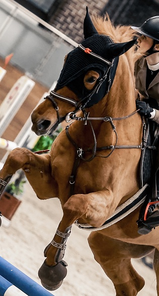 Второй день конкурного турнира завершился в MAXIMA PARK! 
